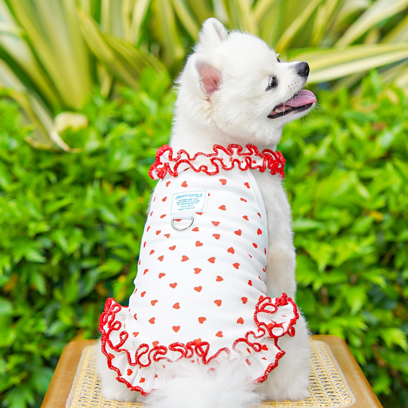 Gaun Anjing Bermotif Bunga, Pa - Summer Loving Clothing ulasan dan harga
