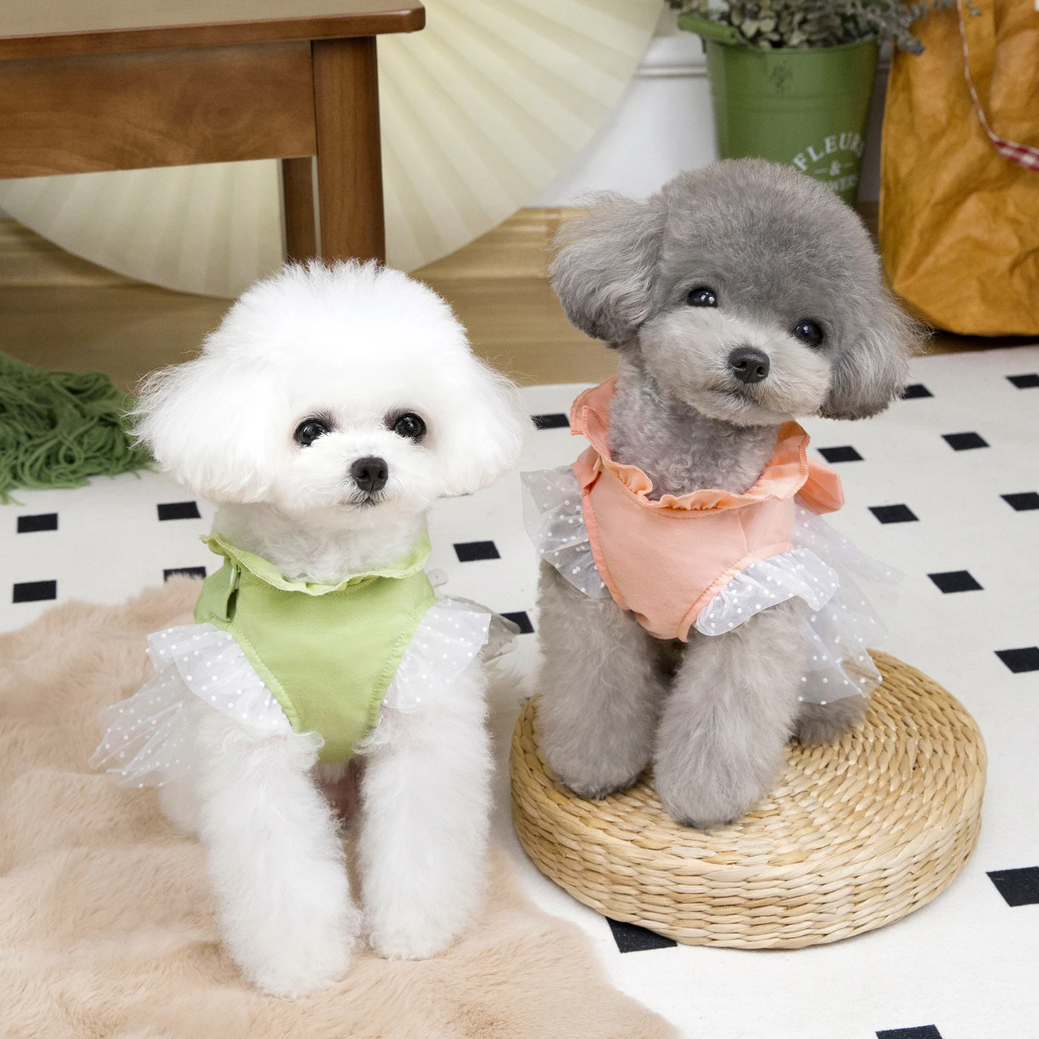 Gaun Musim Panas Anjing Lucu R - Summer Loving Clothing ulasan dan harga